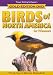 Birds of North America for Windows, Gold Edition DVD