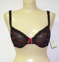 Affinitas Britnie Embroidered Mesh Underwire Bra Style S7B02
