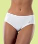 Champion Double Dry Modern Brief Panty