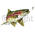 Rainbow Trout *pull 2 Pcs* Adult Long Sleeve T-Shirt