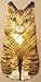 Boston Warehouse Kitten Oven Mitt
