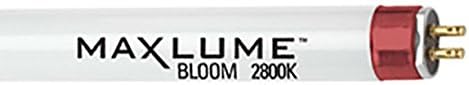 MaxLume 2' T5 HO Fluorescent Tube - 2800k Super Bloom
