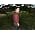 Thumbnail image of Olly Murs