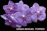 Vanda Manuel Torres 1608H