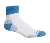  : Darn Tough Coolmax 1/4 Sock Cushion,Light Blue,Medium