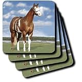 Horse - Champion Paint Quarter Horse - Coasters