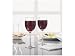 Rayware 0041.200 Entertain Goblet 43Cl X4