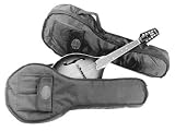 Superior C-3760 A&F Model Mandolin TrailPak I Bag