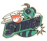 Charlotte Sting WNBA Logo Pin