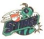 Charlotte Sting WNBA Logo Pin