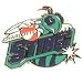 Charlotte Sting WNBA Logo Pin