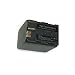 Produkt-Bild: NFE&sup2; Edition Lithium-Ionen Akku - 3450mAh - f&uuml;r Canon MV550i, MV600, MV600i, MV630i, MV650i und MV700