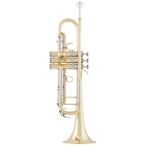 aS Arnolds & Sons ATR-8843G Terra in B