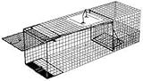 Raccoon Traps