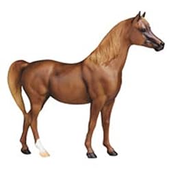 Breyer Carinosa Arabian Limited Edition