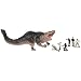 King Kong Basic Figure: Foetadon