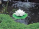 Floating Lily Pond Filter