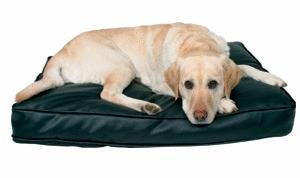 Trixie 37283 Lero Kissen, 110 &times; 80 cm, schwarz Preisvergleich