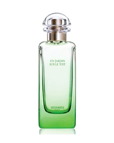 Hermes UN JARDIN SUR LE TOIT eau de toilette spray 100ml Preisvergleich