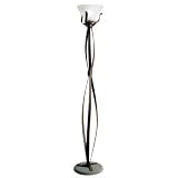 Terzani 0A02PF1A2A Bara Bara One Light Floor Lamp in Rusty