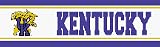Kentucky Wildcats NCAA Licensed 5 1/4 H x 15' L Border