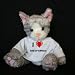 Plush Stuffed Cat (Kit Kat) toy I Love Theophaneia t-shirt