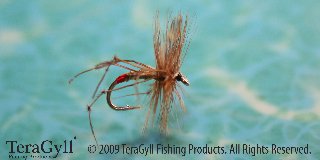 Daddy Long Legs-Red Tag