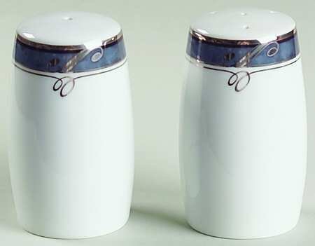 Nikko Moonstone Salt and China Dinnerware