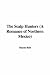 The Scalp Hunters (A Romance of Northern Mexico)