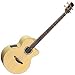 Musical Instruments : Takamine EG512C Acoustic-Electric Bass