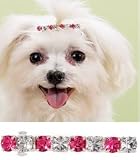 Starlett Rhinestone Barrett for Dogs