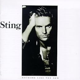 Sting Photo 4