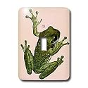 Frogs - Green Frog - Light Switch Covers - single toggle switch