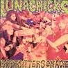 Image of album by Lunachicks