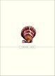 Seashell Thank You Cards