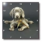 Dogs Weimaraner - Weimaraner Puppy - Wall Clocks