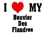 I Love/Heart Bouvier Des Flandres Short Sleeve T-Shirt (Various Shirt Color Choices)