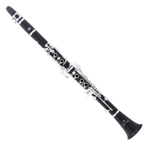 Cecilio 4Series CT-480 Ebony Wood B Flat Clarinet w Hard Shell Carrying Case and Accessories