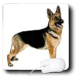 Dogs German Shepherd - German Shepherd - Mouse Pads