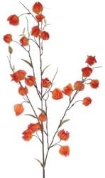 Flower and Plant Foliage, 12pc, 37" CHINESE LANTERN SPRAY - ORANGE