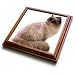 Cats - Himalayan - Trivets