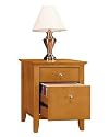 NAPA FILE (2 DRAWER)