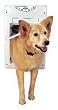 PetSafe Pet Door, Small, White, TWS-11 PetSafe Pet Door, Small, White, TWS-11