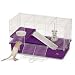 Super Pet Deluxe My First Home (pet rat, purple base 24.5''x12.5''x14.5'')