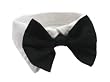 Dog Bow Tie Tuxedo Collar- Black, XL (Neck 19-23")