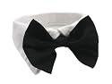 Dog Bow Tie Tuxedo Collar- Black, XL