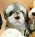  - Plush Schnauzer Pup Standing 7