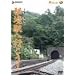 ���붭�ؤعԤ���!���������� [DVD]