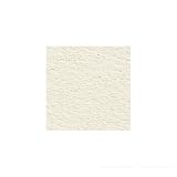 ホルベイン画材 クレスター水彩紙 210g (並厚口) 四切 423×526mm