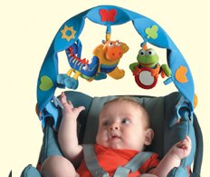 Childrens Toyshop   : Tiny Love Musical Take Along Arch